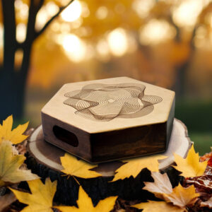 Універсальний бонго-кахон: багатогранне звучання у ваших руках!