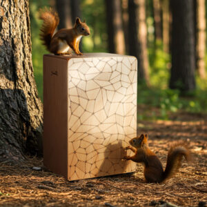 Кахон Suntime BaseTone model A: Нічого зайвого тільки бездоганний ритм